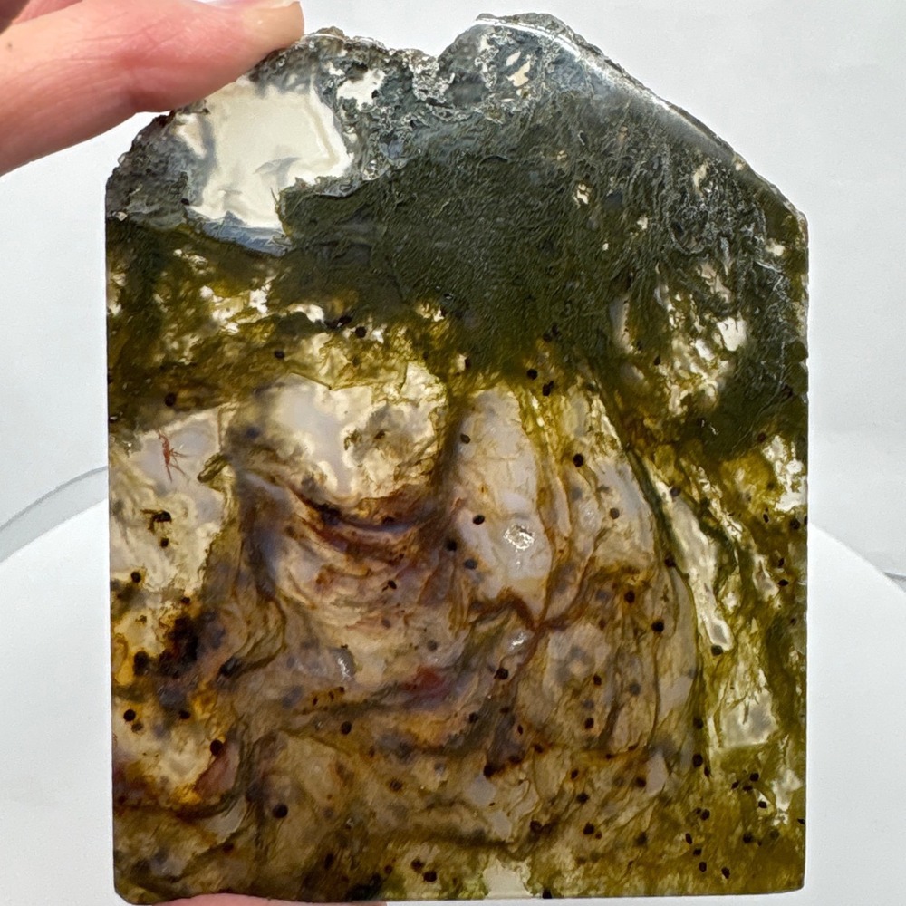 Unique Agate Slice Moss Agate Slab Natural Stone Display Specimen Polished
